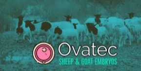 Ovatec Sheep & Goat Embryos logo